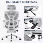Sedia da ufficio ergonomica