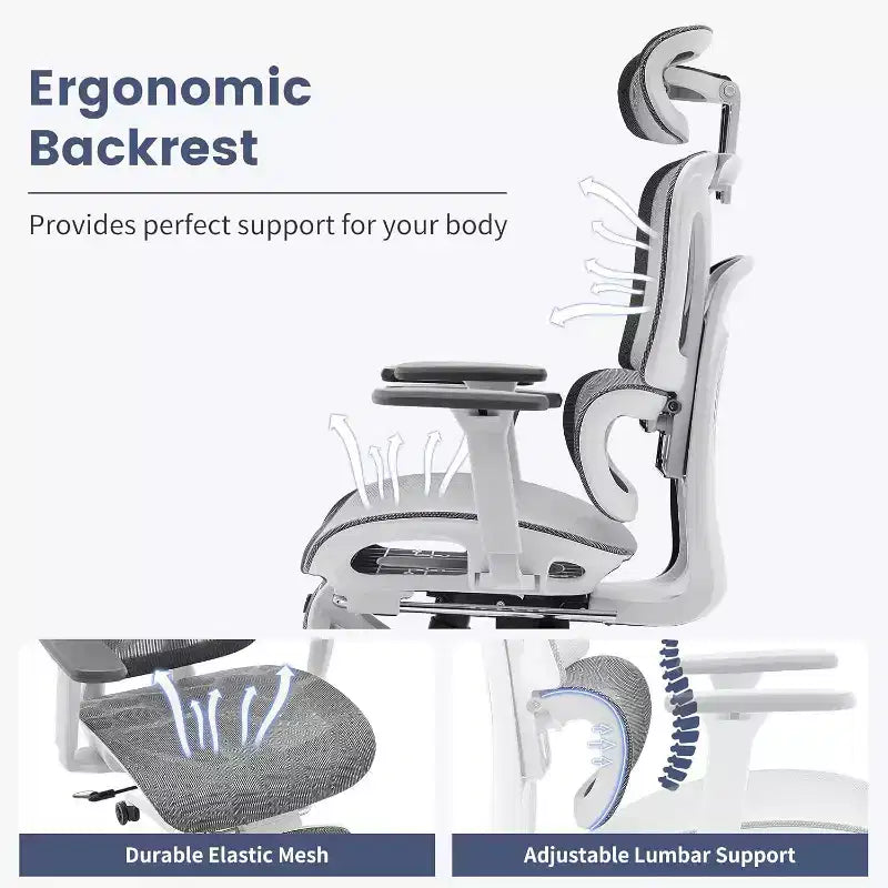 Sedia da ufficio ergonomica