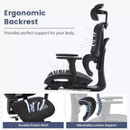 Sedia da ufficio ergonomica
