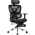 Acekool Ergonomic Office Chair