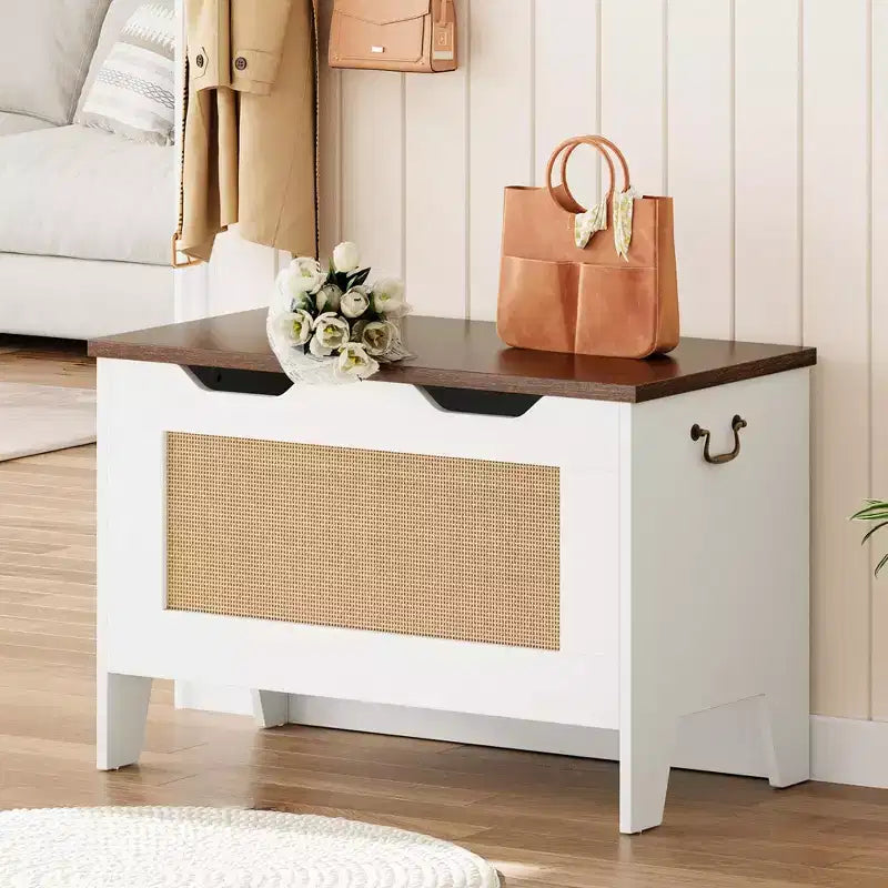 Contenitore portaoggetti, Panca portaoggetti in legno con cerniera di sicurezza, Cassapanca con coperchio apribile, Supporta 159 kg, per ingresso, soggiorno, camera da letto