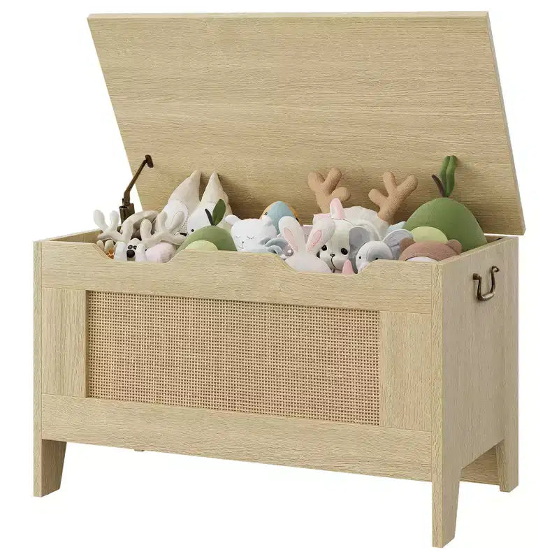 Contenitore portaoggetti, Panca portaoggetti in legno con cerniera di sicurezza, Cassapanca con coperchio apribile, Supporta 159 kg, per ingresso, soggiorno, camera da letto
